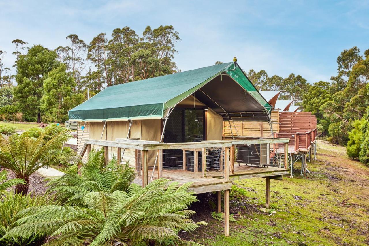 Nrma Port Arthur Holiday Park Exteriör bild