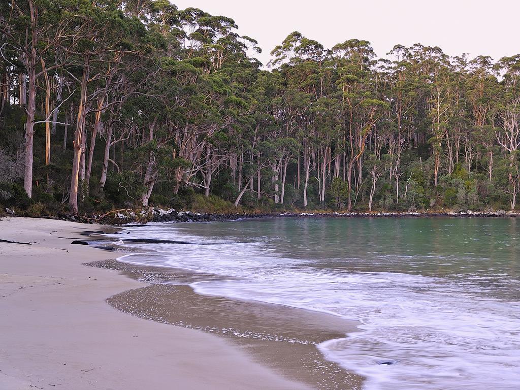 Nrma Port Arthur Holiday Park Exteriör bild