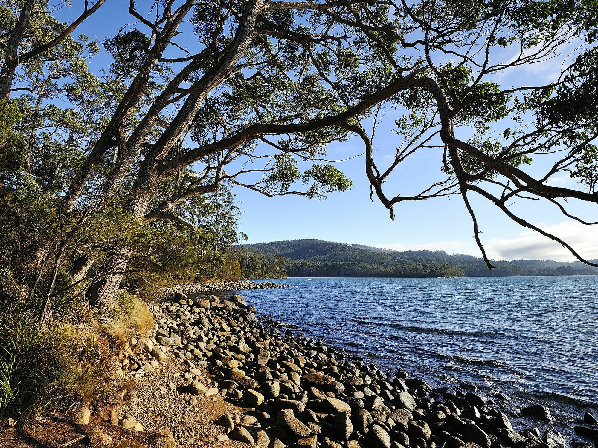 Nrma Port Arthur Holiday Park Exteriör bild